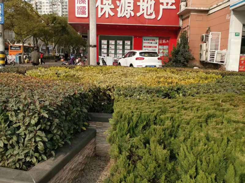 律師如何搜尋證據(jù)？上海死刑辯護(hù)律師告訴你