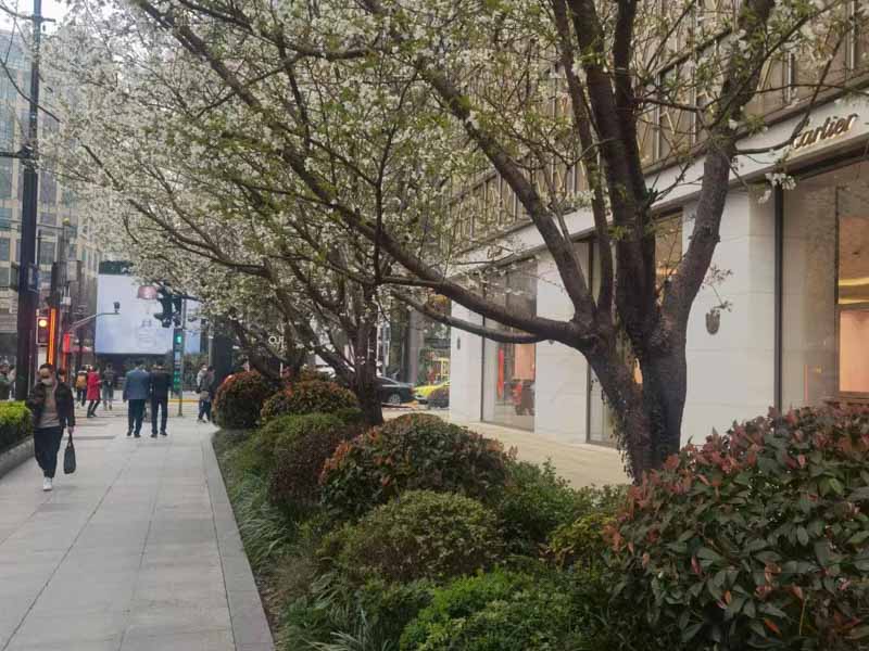 青浦刑事律師解析：虐待部屬罪的構成形式要件與實務認定