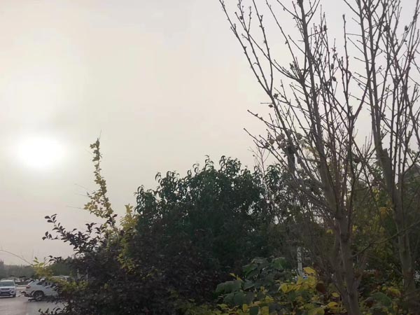 調包的行為是屬于盜竊罪還是詐騙罪？上海刑事案件著名律師告訴您