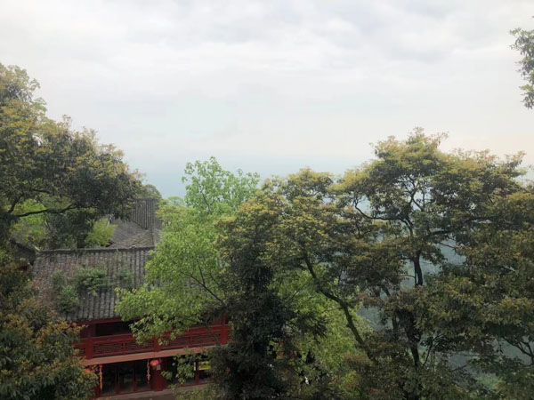 寶山刑事律師為您講解關于貸款詐騙罪的相關知識