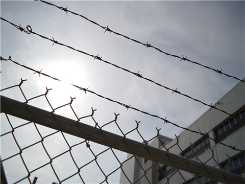 金山區刑事律師述判刑不足一年是去監獄還是看